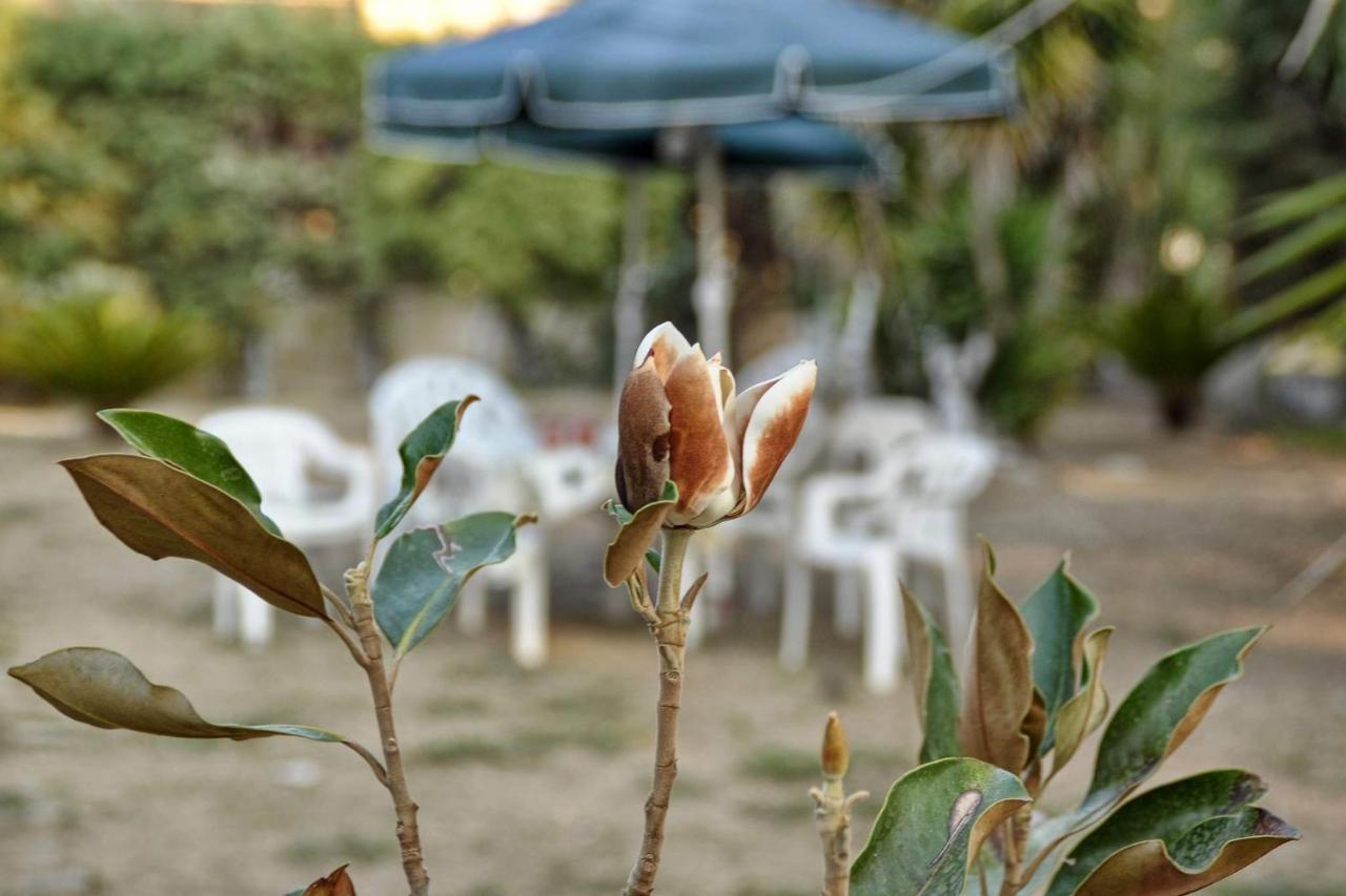 Kloudas Apartments Potamos  Bagian luar foto